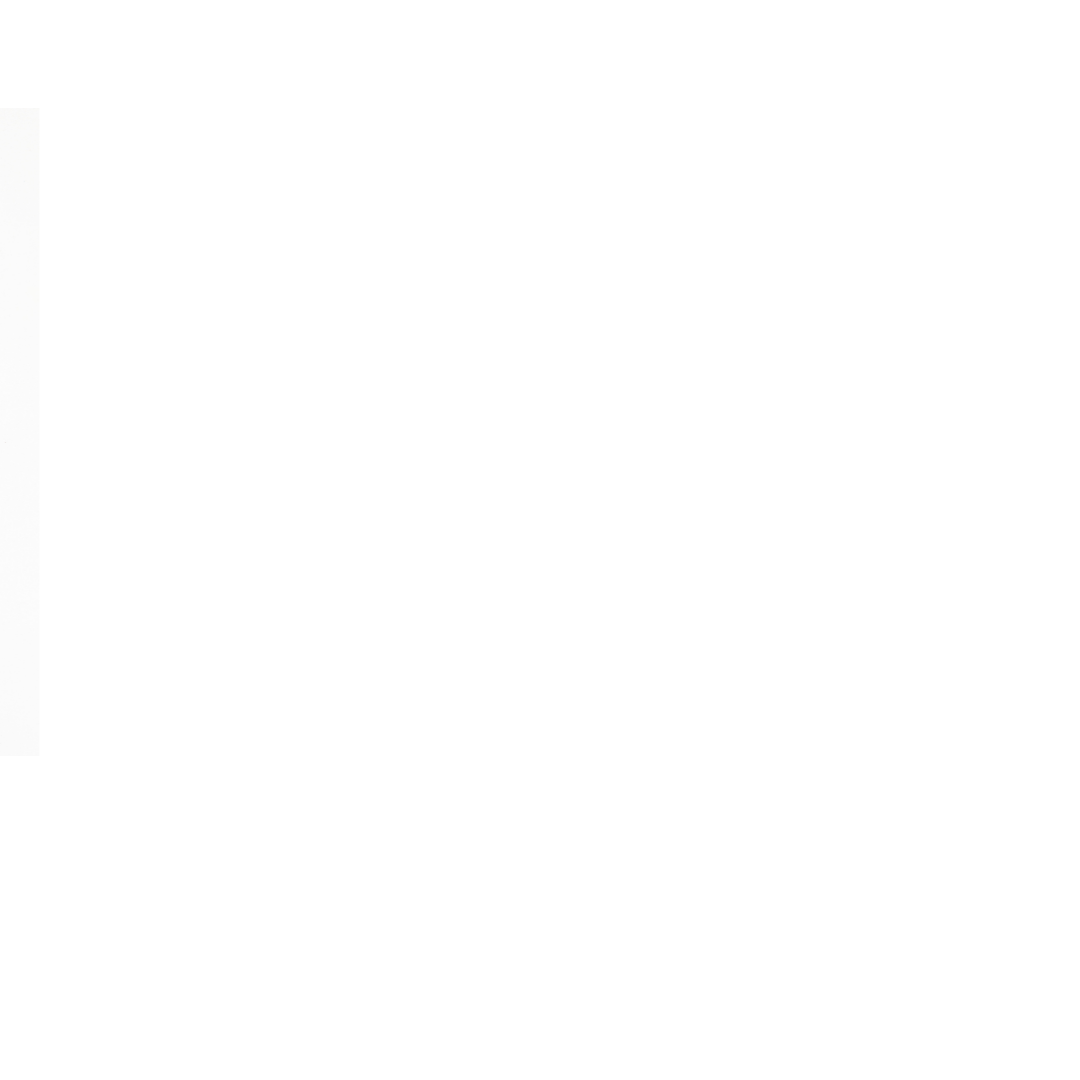 Quail T-Shirt with Vintage Folk Art Style Design